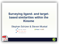 Surveying ligand- and target-based similarities within the Kinome