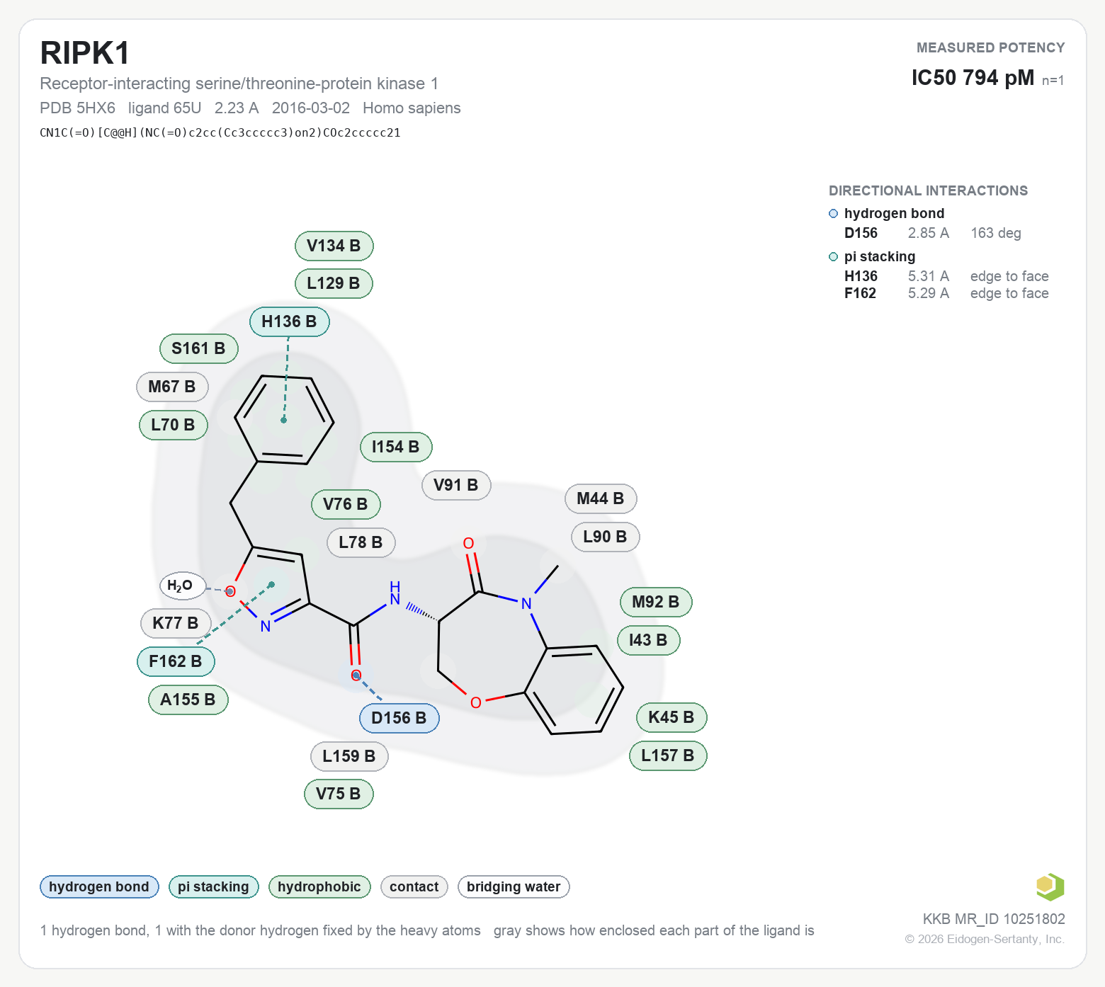 Contact map for RIPK1 with ligand 65U from PDB entry 5HX6, IC50 0.794 nM in the Kinase Knowledgebase, showing the measured interactions on the flat structure