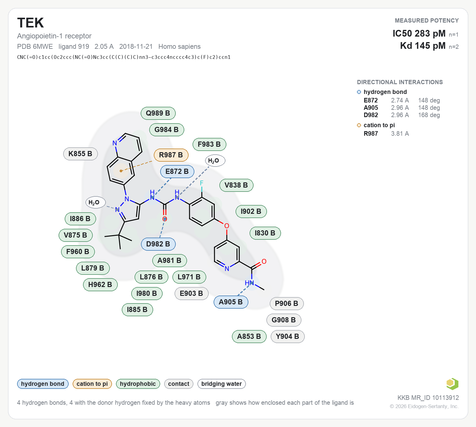 Contact map for TEK with ligand 919 from PDB entry 6MWE, IC50 0.283 nM in the Kinase Knowledgebase, showing the measured interactions on the flat structure