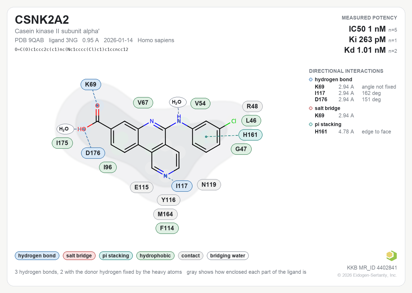 Contact map for CSNK2A2 with ligand 3NG from PDB entry 9QAB, IC50 1 nM in the Kinase Knowledgebase, showing the measured interactions on the flat structure