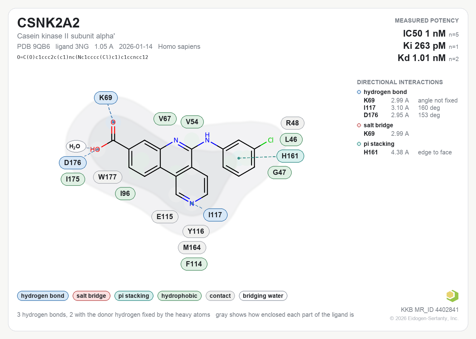Contact map for CSNK2A2 with ligand 3NG from PDB entry 9QB6, IC50 1 nM in the Kinase Knowledgebase, showing the measured interactions on the flat structure